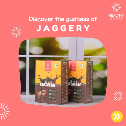 PROCHARGE - Chocolate Powder 450g (Single pack)